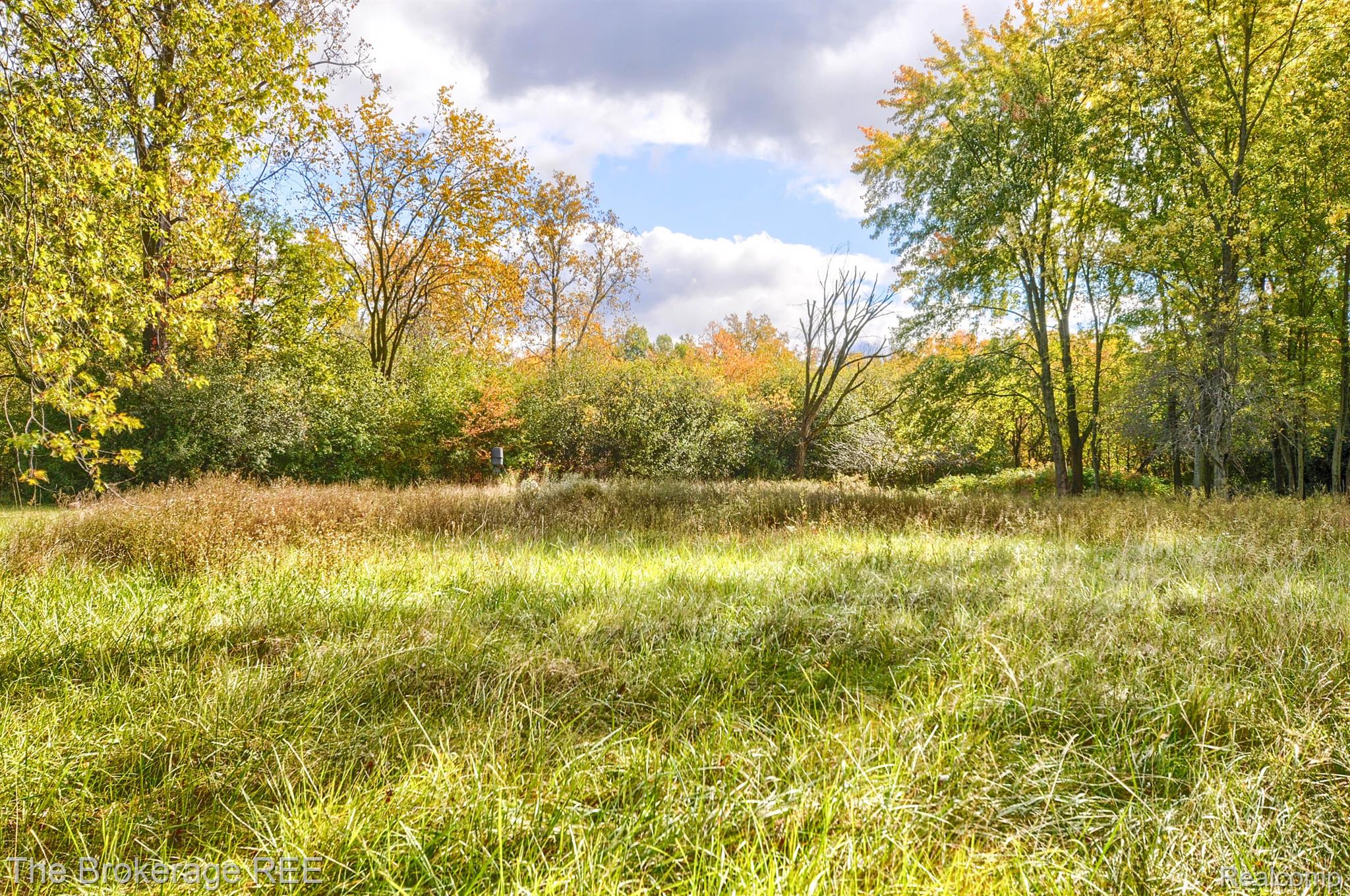 2283 Howe Road Burton, MI 48519 - Photo 31 of 34 Gallery Image 31
