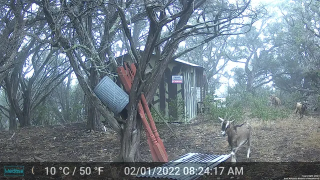 $339,000 | 1085 White Bluff Road, Medina, TX 78055