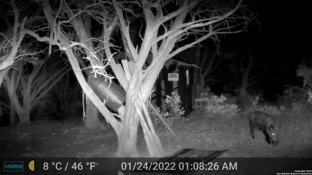 $339,000 | 1085 White Bluff Road, Medina, TX 78055