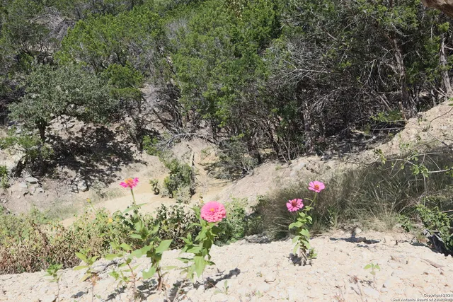 $339,000 | 1085 White Bluff Road, Medina, TX 78055