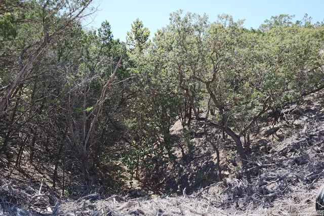 $339,000 | 1085 White Bluff Road, Medina, TX 78055