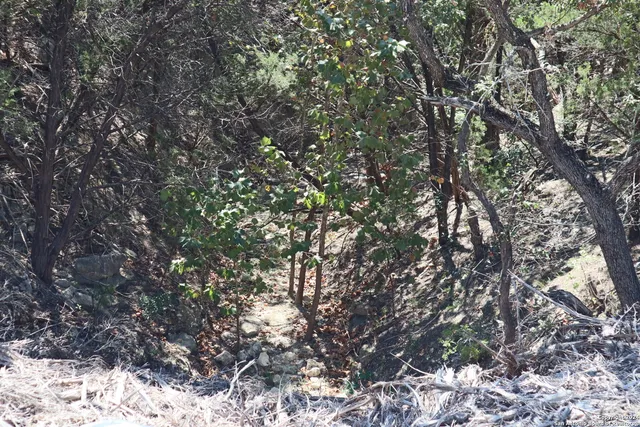 $339,000 | 1085 White Bluff Road, Medina, TX 78055