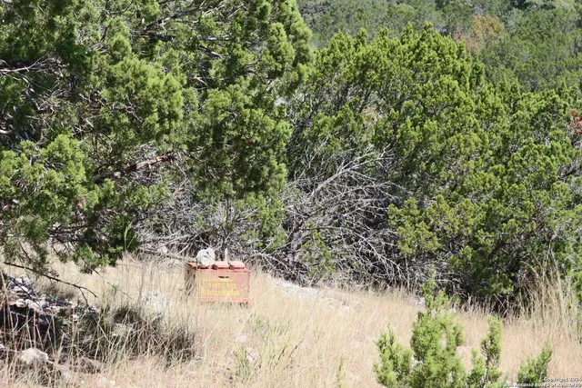 $339,000 | 1085 White Bluff Road, Medina, TX 78055