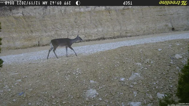 $339,000 | 1085 White Bluff Road, Medina, TX 78055