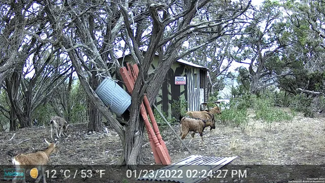 $339,000 | 1085 White Bluff Road, Medina, TX 78055