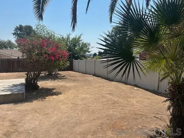 a view of backyard with a palm tree
