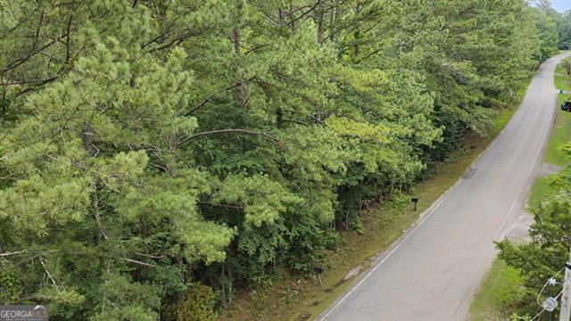 0 Cedar Grove Road Fairburn, GA 30213 - Photo 5 of 5 a view of a garden with a plant