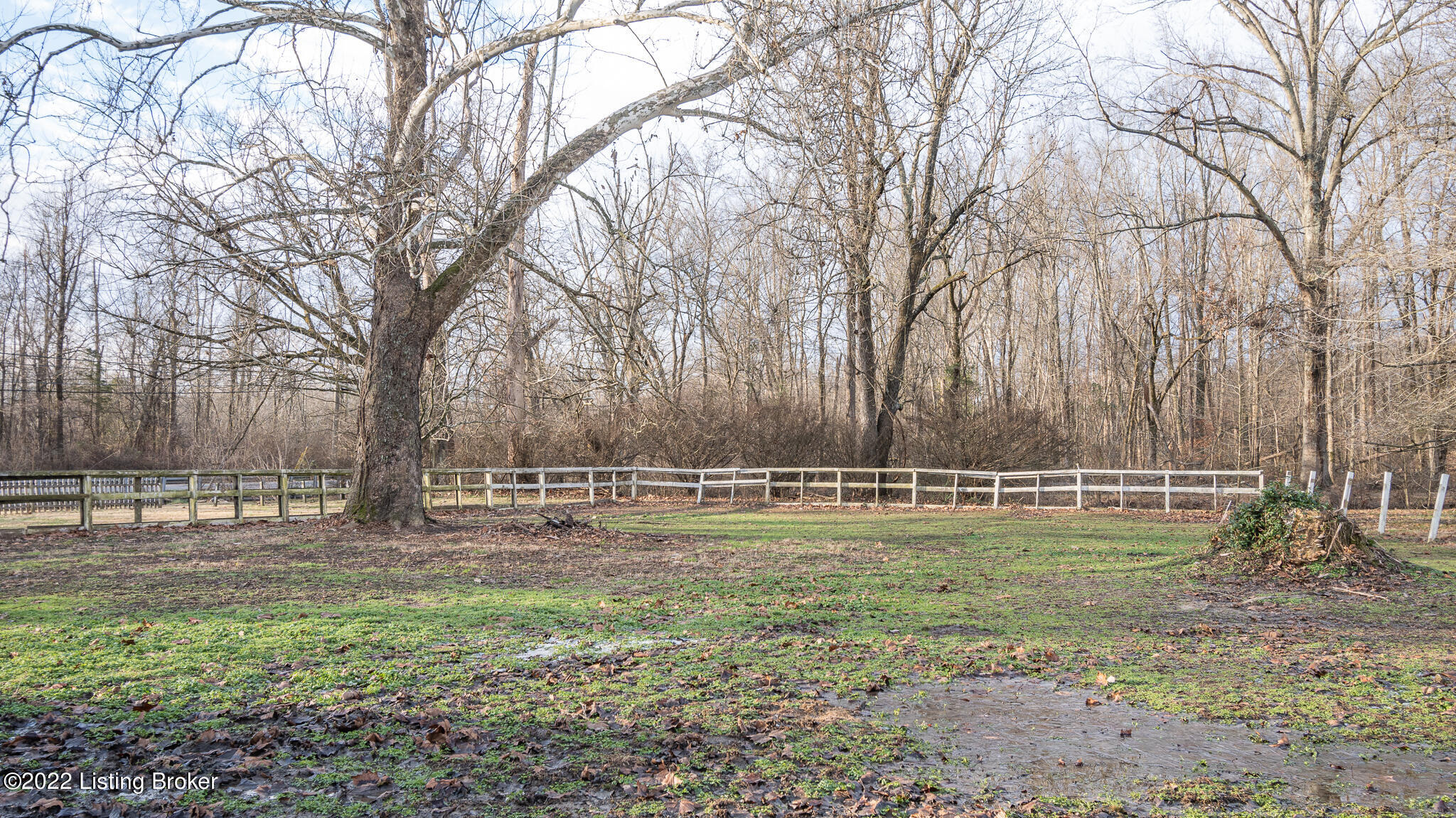 8208 3rd Street Road Louisville, KY 40214 - Photo 12 of 75 DSC_6131