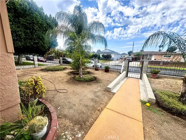 a row of palm trees and swimming pool in the backyard of a house