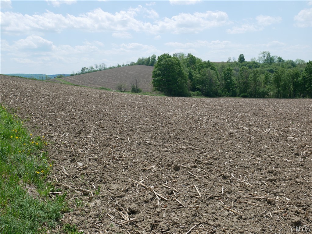 Canning Factory Road Waterville, NY 13480 - Photo 16 of 17