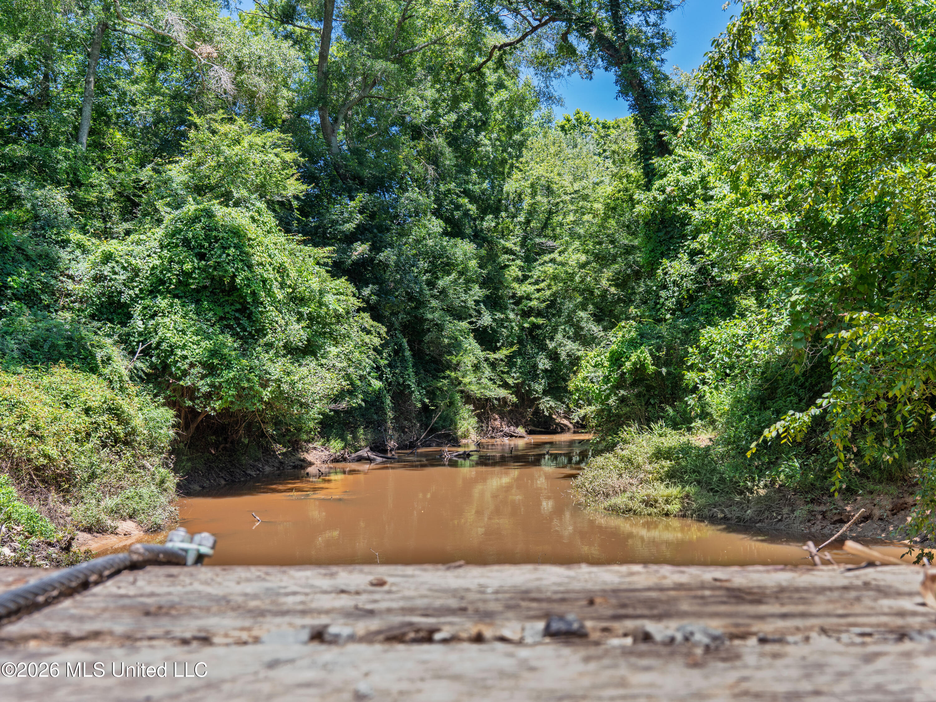 23 Co Road Bay Springs, MS 39422 - Photo 15 of 64 A7403748
