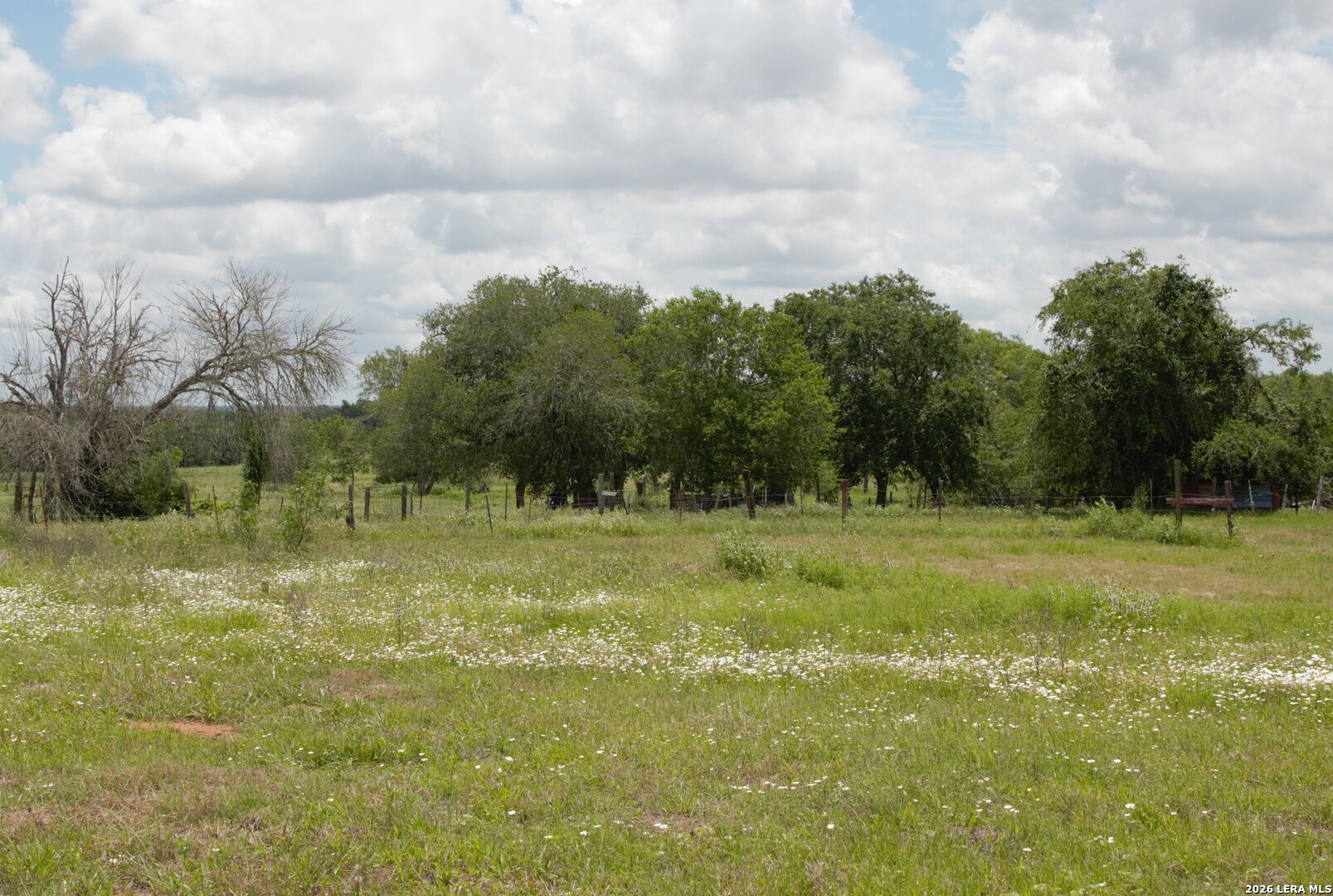 1460 Sandy Elm Road La Vernia, TX 78121 - Photo 19 of 25