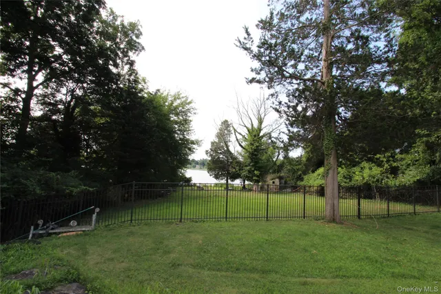 a view of a tree in a park