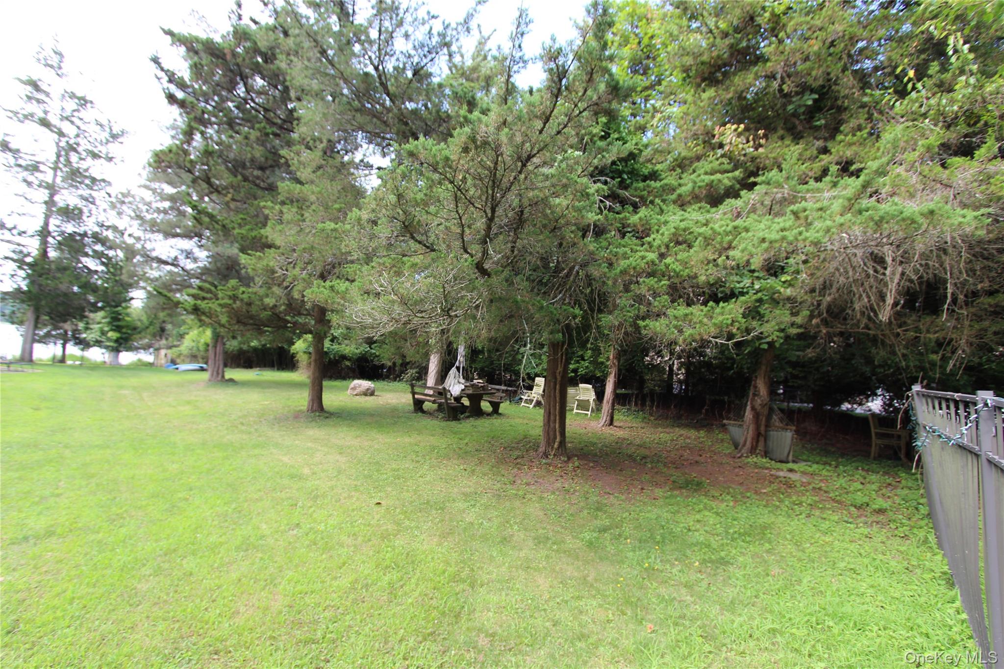 59 Dyke Road East Setauket, NY 11733 - Photo 13 of 21 a view of a tree in a park