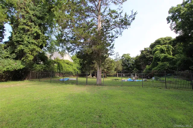 a view of a grassy field with trees