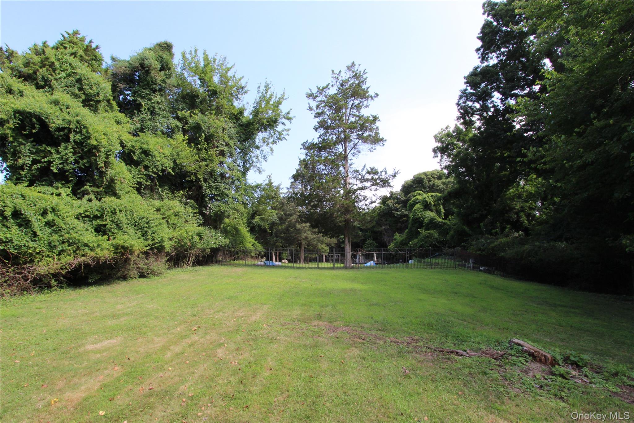 59 Dyke Road East Setauket, NY 11733 - Photo 15 of 21 a view of a grassy field with trees