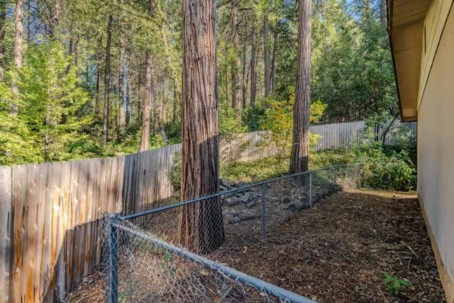 a view of a backyard