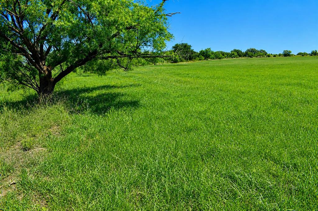 8228 Us Highway Rochelle, TX 76872 - Photo 21 of 36 a view of yard with green space