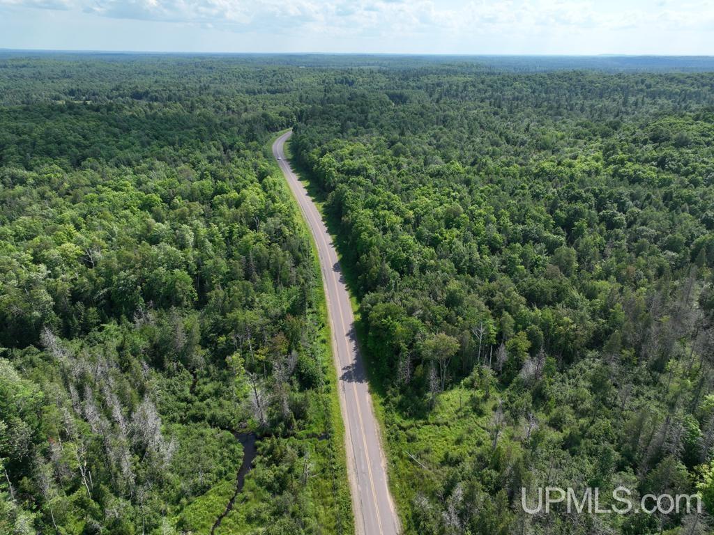 0 Gold Mine Lake Road Ishpeming, MI 49849 - Photo 2 of 19