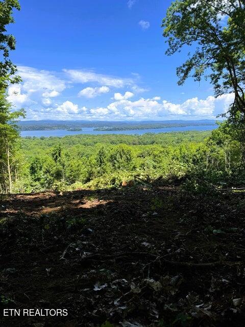 7 Pleasant Hill Road Ten Mile, TN 37880 - Photo 9 of 27 PH 7 Views homesite