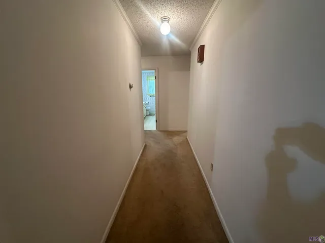 $250,000 | 8208 Beechwood Loop, Olla, LA 71465