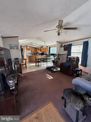 a living room with furniture and a gym machine