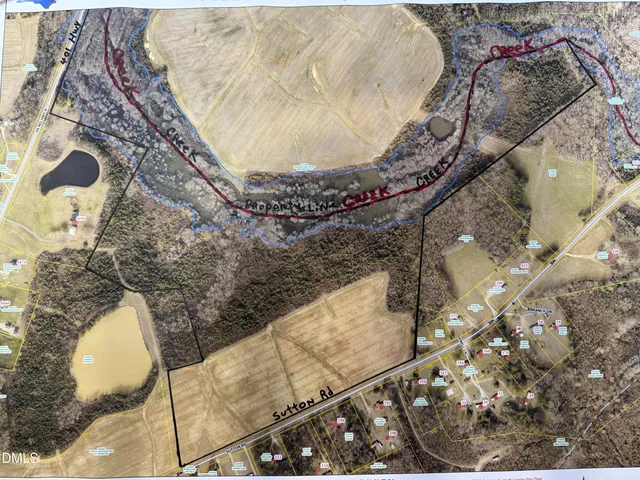 a vase of flowers sitting on a table