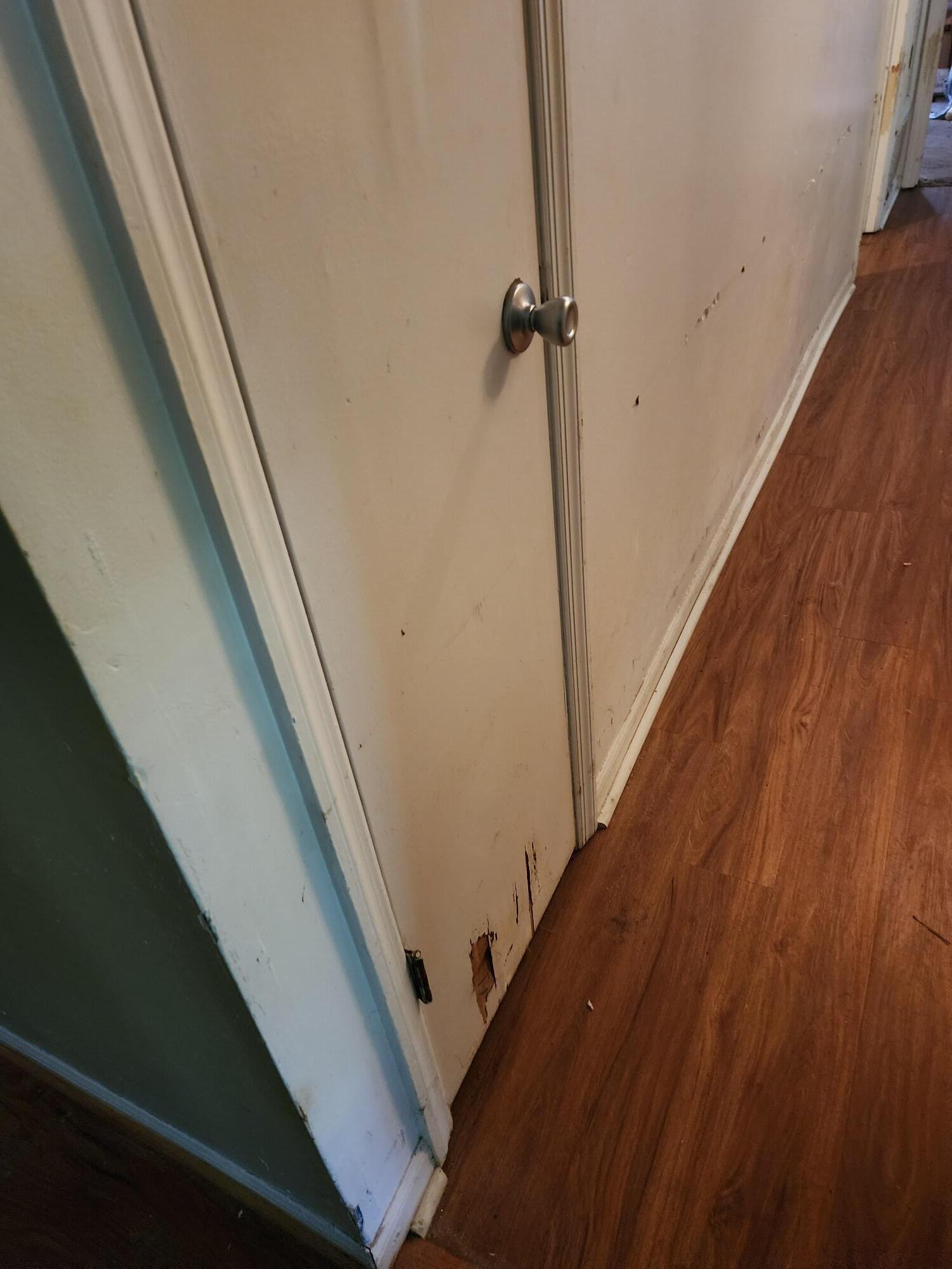 4577 Colonial Road Augusta, GA 30907 - Photo 13 of 25 1000006285