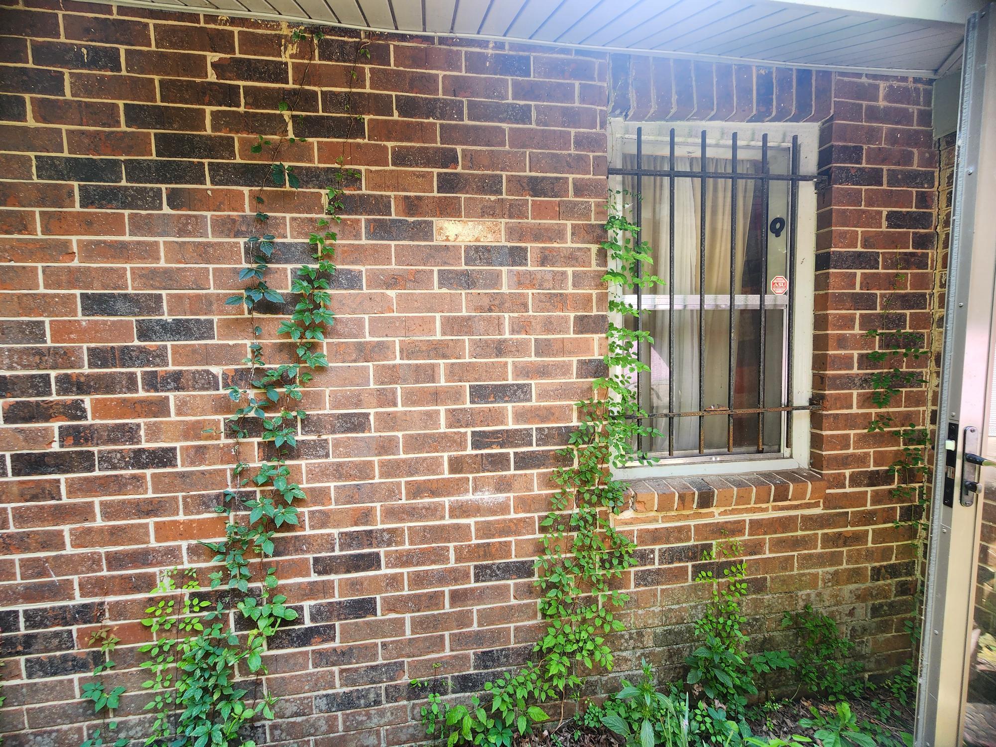 4577 Colonial Road Augusta, GA 30907 - Photo 21 of 25 1000006255