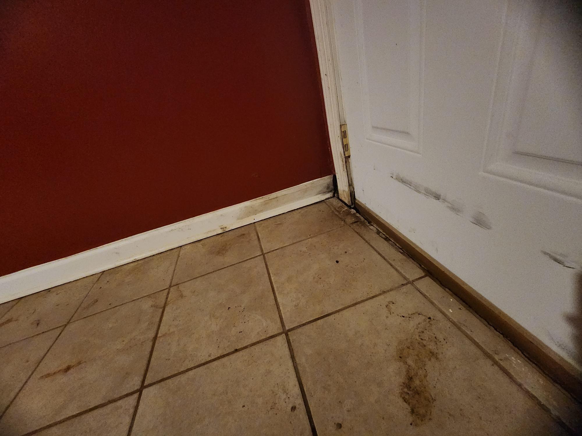 4577 Colonial Road Augusta, GA 30907 - Photo 10 of 25 1000006270