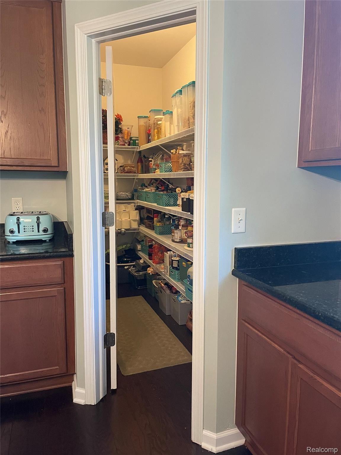 1165 Risen Star Way Howell, MI 48843 - Photo 17 of 47 Walk in pantry