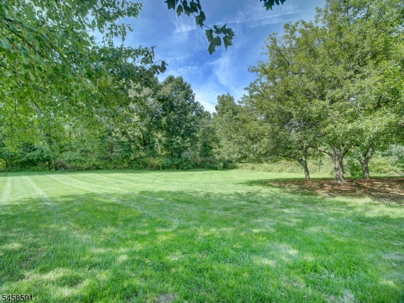 53 Springbrook Road East Montville, NJ 07045 - Photo 27 of 33 Gallery Image 27