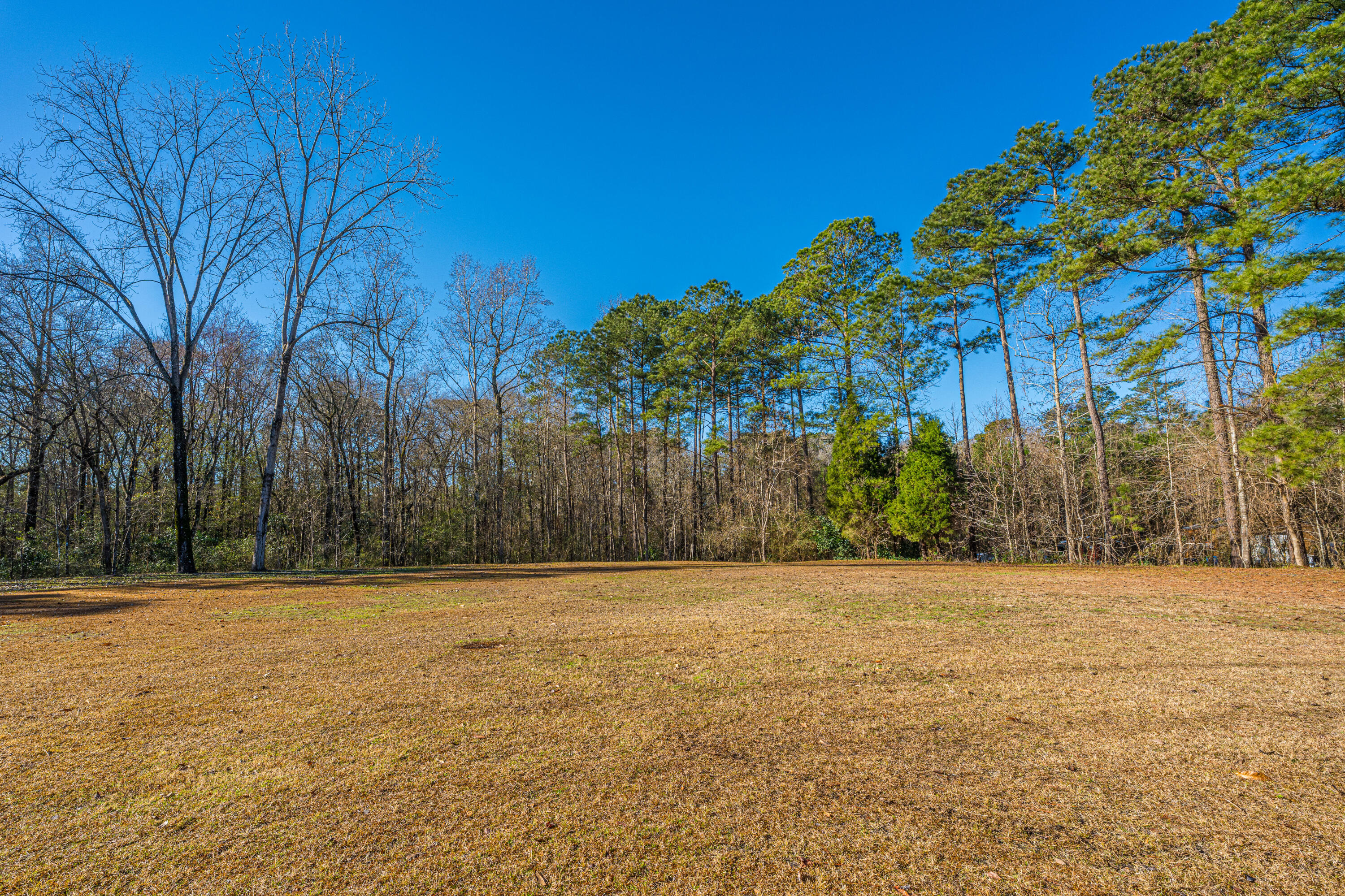 325 Linden Court Moncks Corner, SC 29461 - Photo 46 of 87 325LindenCt048