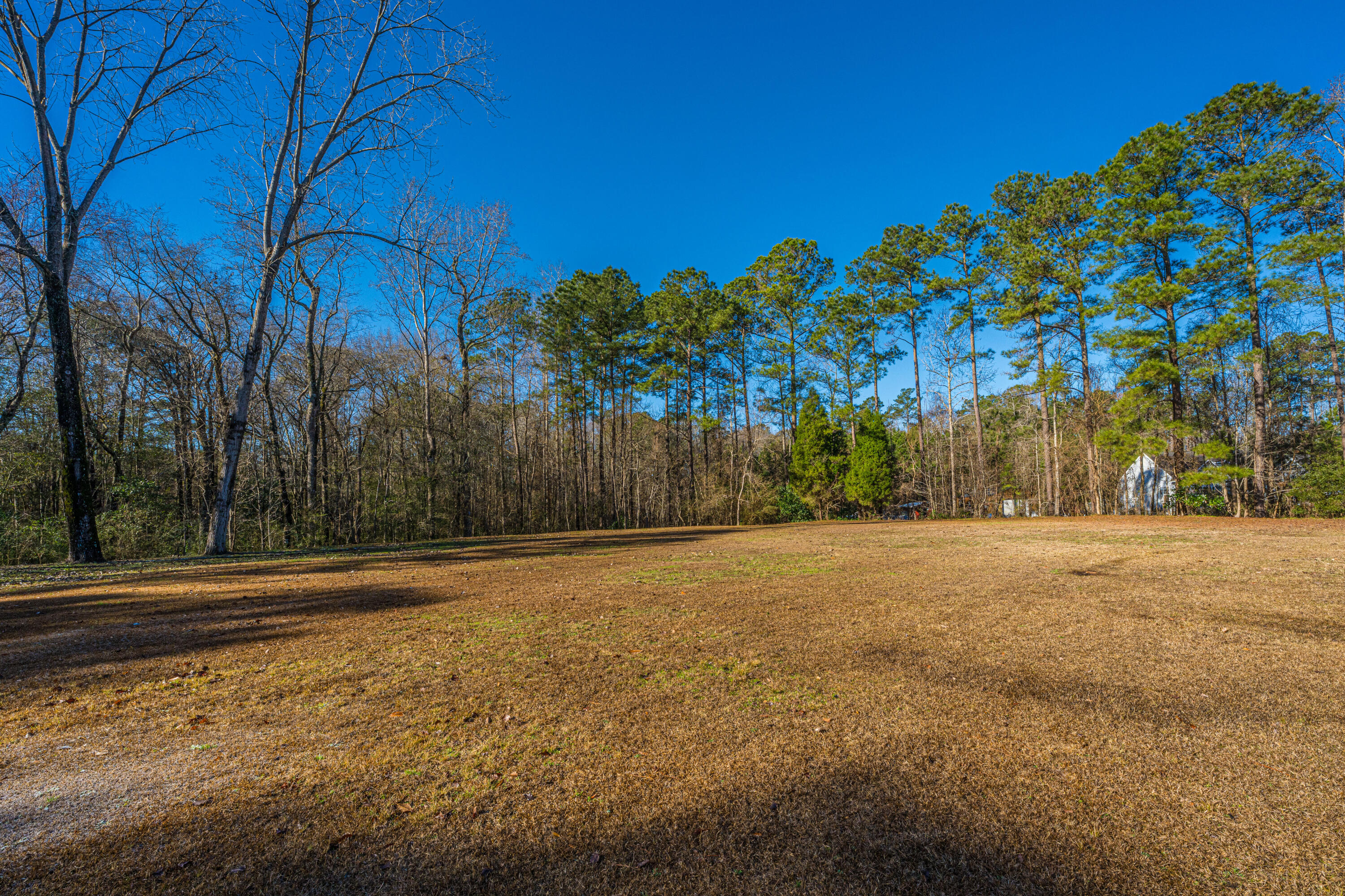 325 Linden Court Moncks Corner, SC 29461 - Photo 58 of 87 325LindenCt060