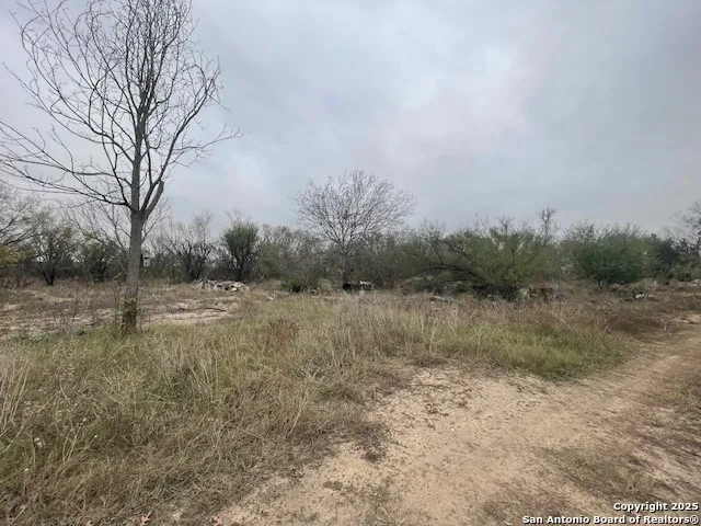 a view of a dry yard with green space
