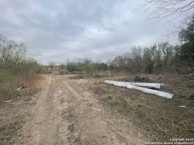 a view of a dry yard with wooden fence