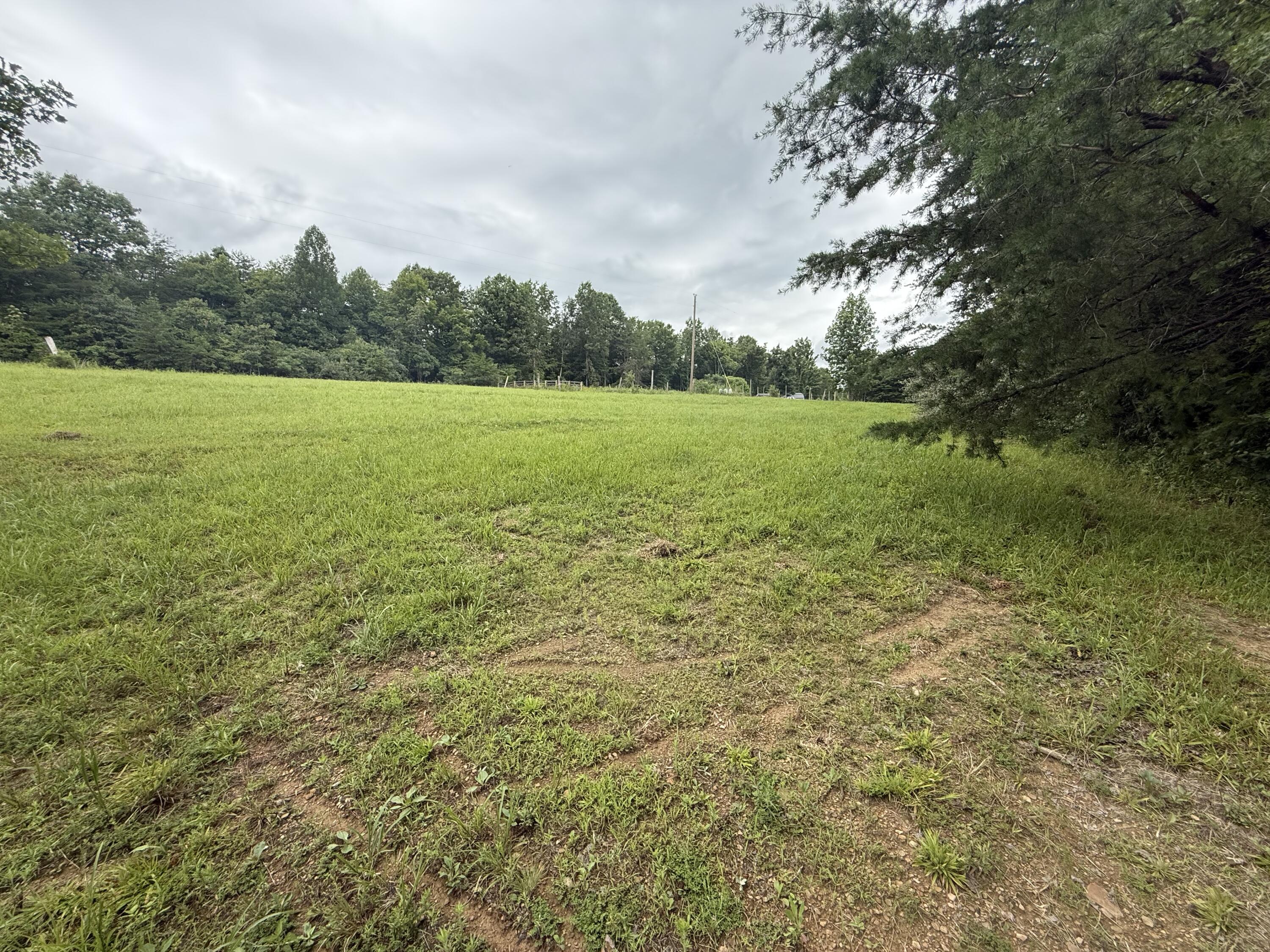 1292 White Oak Road, Unit 7 Williamsburg, KY 40769 - Photo 11 of 23 IMG_4597