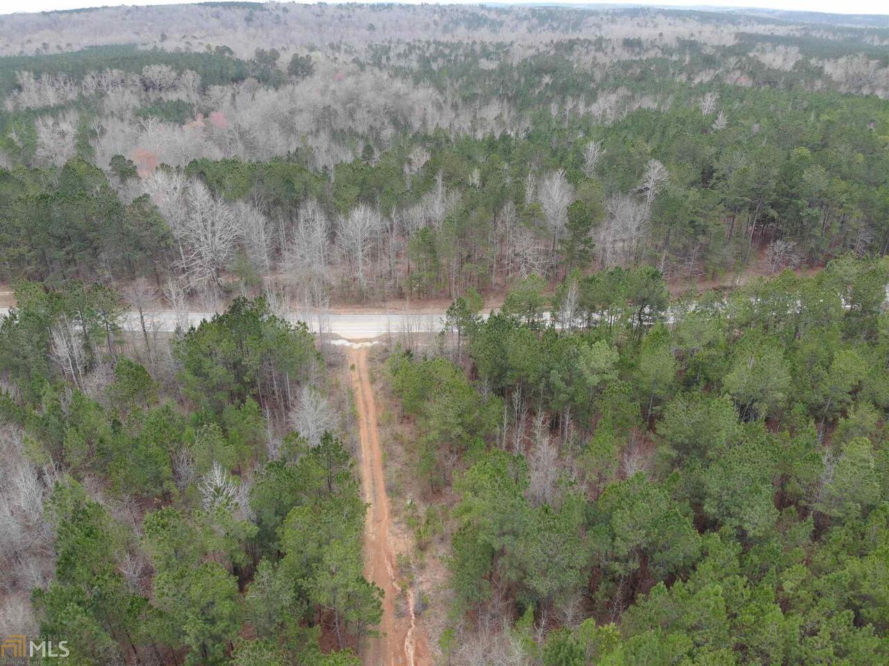 0 Kirk Road Franklin, GA 30217 - Photo 1 of 1 a view of a forest with a yard and large trees