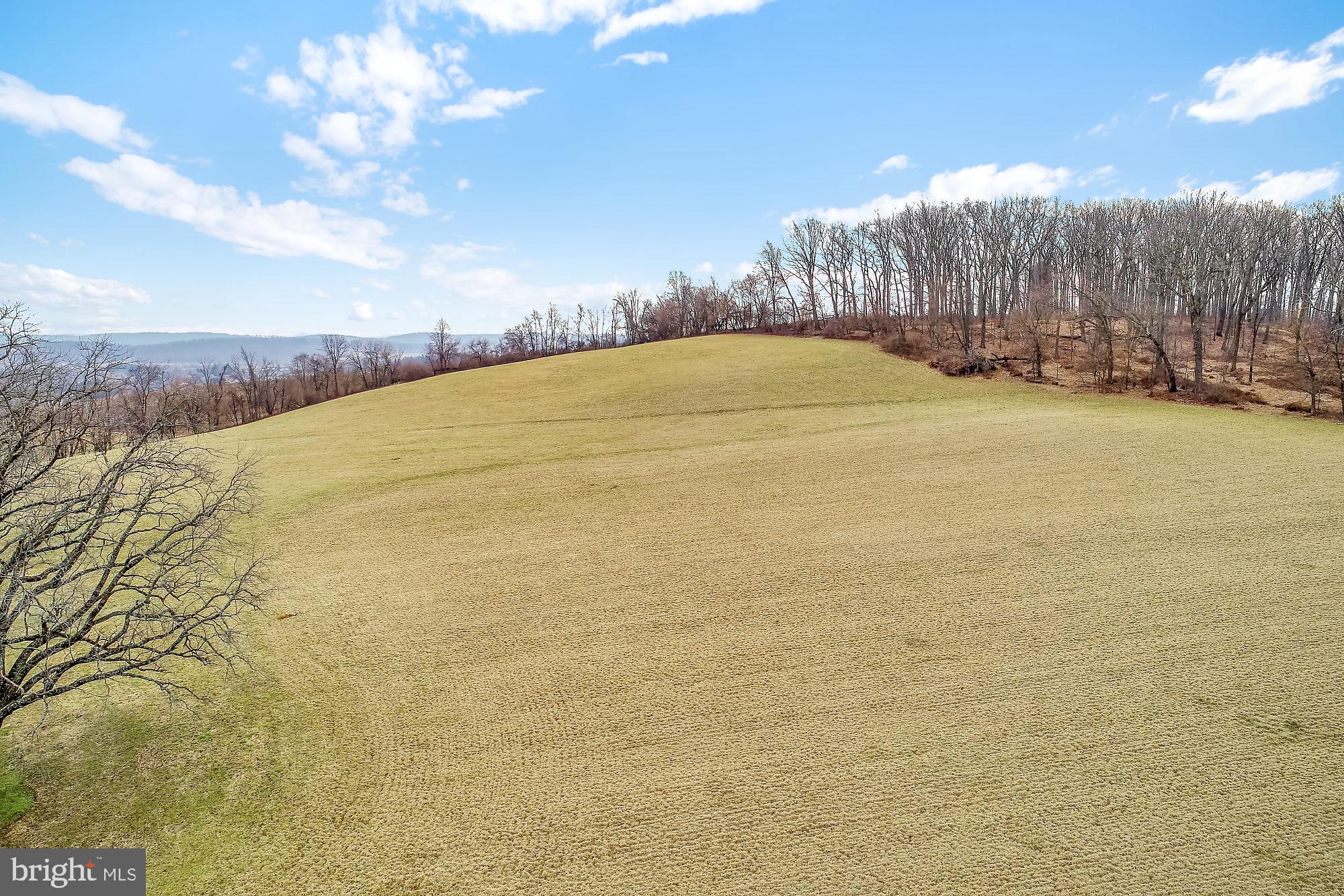 6115 Pahagaco Road Spring Grove, PA 17362 - Photo 40 of 44
