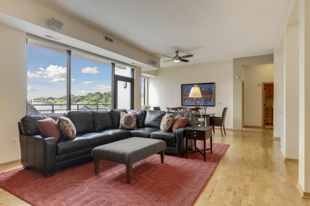 312 Spring Street, Unit 411 St. Paul, MN 55102 - Photo 13 of 38 Gallery Image 13