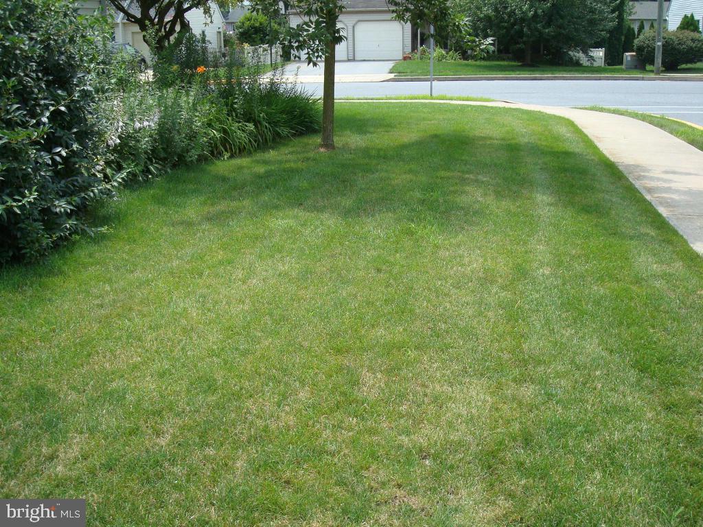 519 North Elm Street Lititz, PA 17543 - Photo 7 of 57