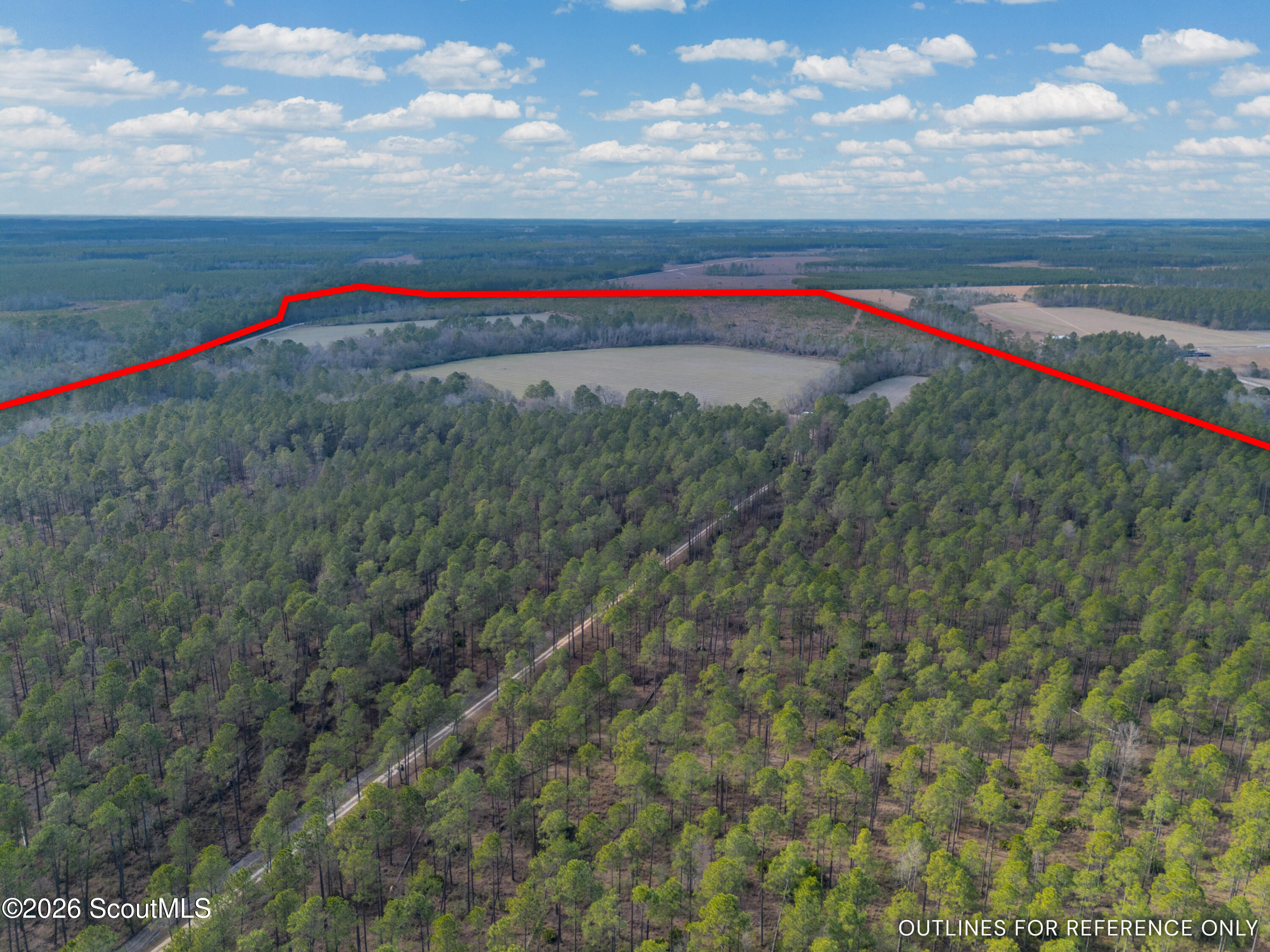 0 Reddish Road Odum, GA 31555 - Photo 4 of 46 230-AC-REDDISH-ODUM-3