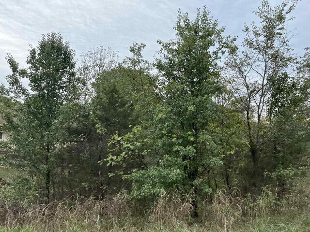 Lot 20 Rabbit Run Cape Cape Fair, MO 65624 - Photo 3 of 6 Lot