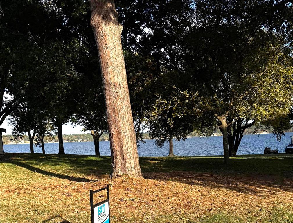 Tbd Blue Water Road Chandler, TX 75758 - Photo 5 of 12 Street view