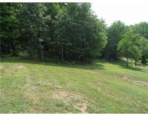 150 Rainey Road Eighty Four, PA 15330 - Photo 15 of 18 Yard/Garden.