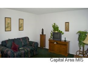 3001 Sandgate Road Springfield, IL 62702 - Photo 10 of 18