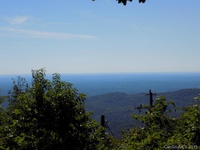 3550 Hogback Mountain Road Tryon, NC 28782 - Photo 10 of 10