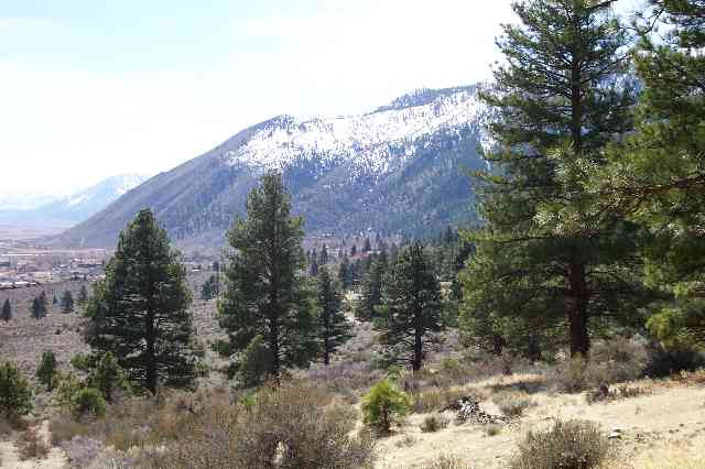 2597 Eagle Ridge Road Genoa, NV 89411 - Photo 2 of 5 Photo 2