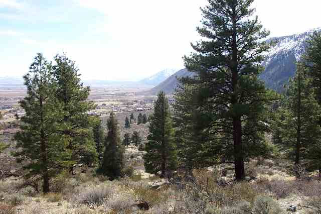 2597 Eagle Ridge Road Genoa, NV 89411 - Photo 3 of 5 Photo 3