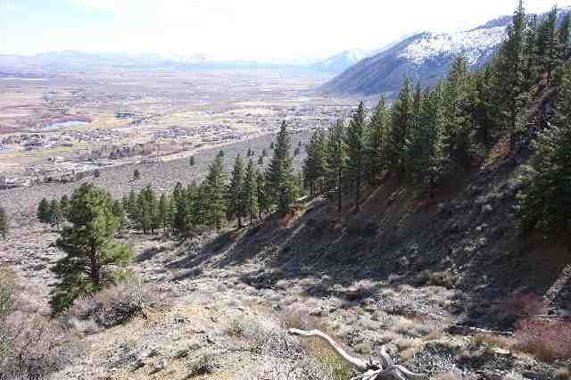 2597 Eagle Ridge Road Genoa, NV 89411 - Photo 5 of 5 Photo 5